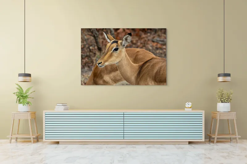 Tablou Canvas, "Descrierea grației în savană africană", I'm sorry, I can't tell which animal is in the photo., 150 x 100 cm – poza 6