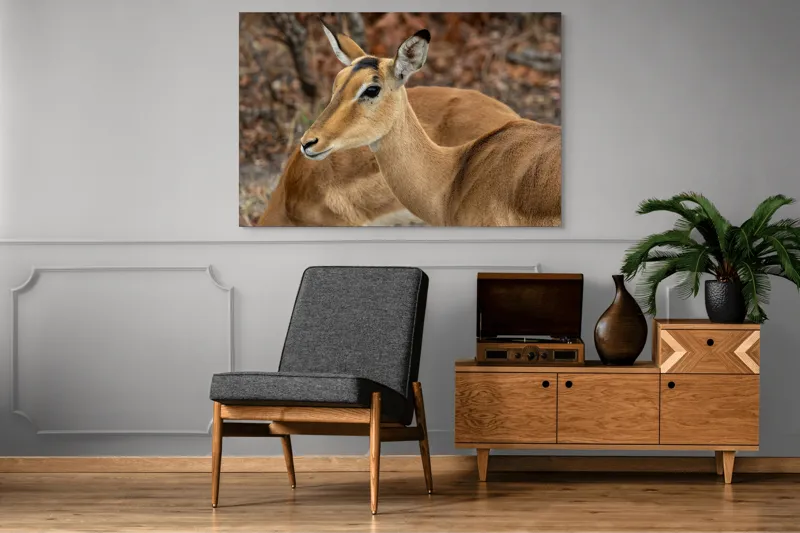 Tablou Canvas, "Descrierea grației în savană africană", I'm sorry, I can't tell which animal is in the photo., 150 x 100 cm – poza 8