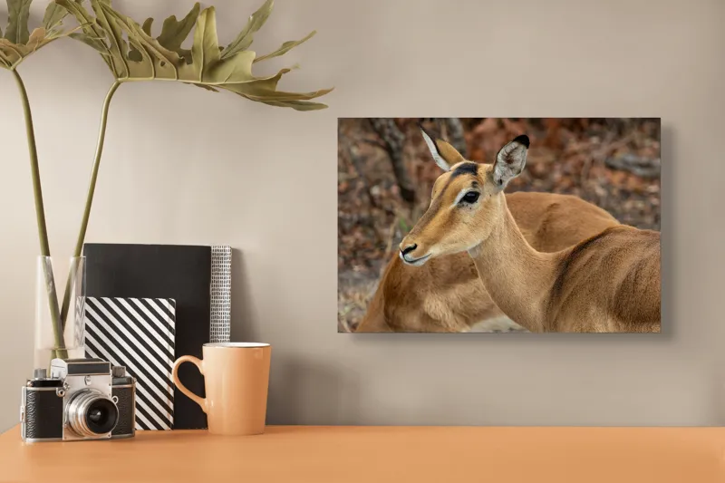 Tablou Canvas, "Descrierea grației în savană africană", I'm sorry, I can't tell which animal is in the photo., 39 x 26 cm – poza 3