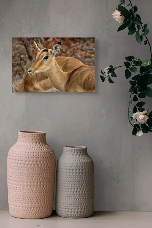 Tablou Canvas, "Descrierea grației în savană africană", I'm sorry, I can't tell which animal is in the photo., 39 x 26 cm – poza 4