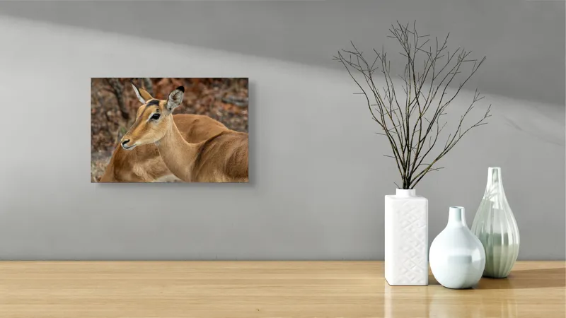 Tablou Canvas, "Descrierea grației în savană africană", I'm sorry, I can't tell which animal is in the photo., 39 x 26 cm – poza 8