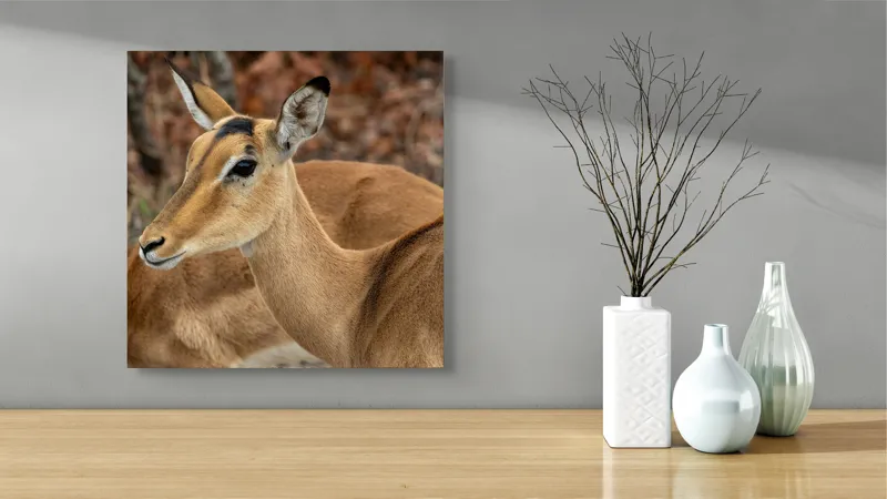 Tablou Canvas, "Descrierea grației în savană africană", I'm sorry, I can't tell which animal is in the photo., 50 x 50 cm – poza 3