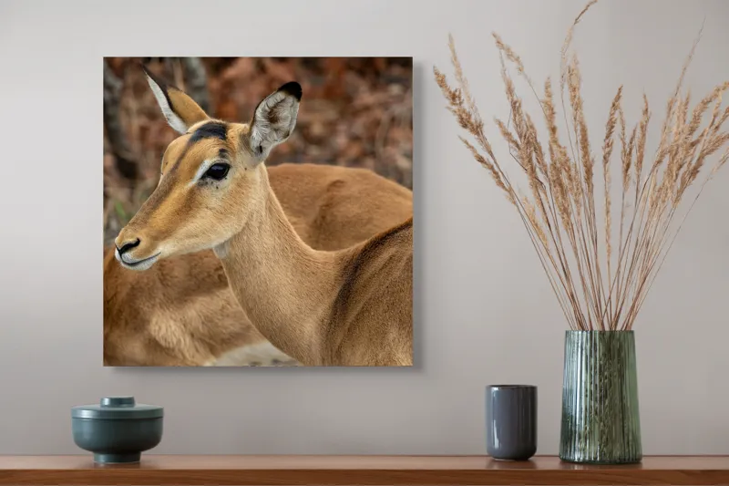 Tablou Canvas, "Descrierea grației în savană africană", I'm sorry, I can't tell which animal is in the photo., 50 x 50 cm – poza 4