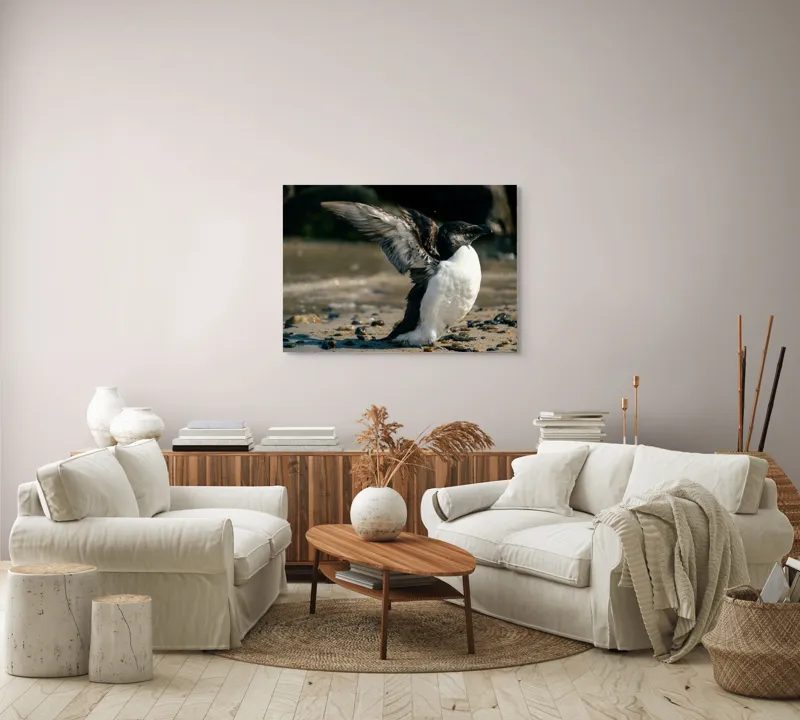Tablou Canvas, "Pinguin pe țărmul stâncos al mării", Pinguin, Nisip, Aripi, Ocean, Pietre, Lumina, Natura, Zbor, Miscare, 100 x 70 cm – poza 3