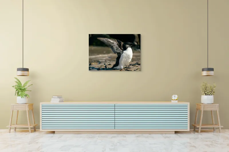 Tablou Canvas, "Pinguin pe țărmul stâncos al mării", Pinguin, Nisip, Aripi, Ocean, Pietre, Lumina, Natura, Zbor, Miscare, 100 x 70 cm – poza 4
