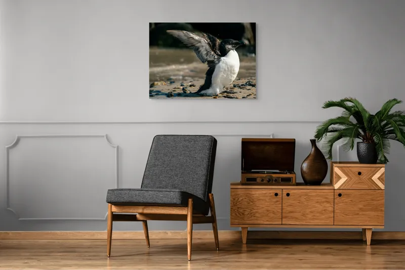Tablou Canvas, "Pinguin pe țărmul stâncos al mării", Pinguin, Nisip, Aripi, Ocean, Pietre, Lumina, Natura, Zbor, Miscare, 100 x 70 cm – poza 8