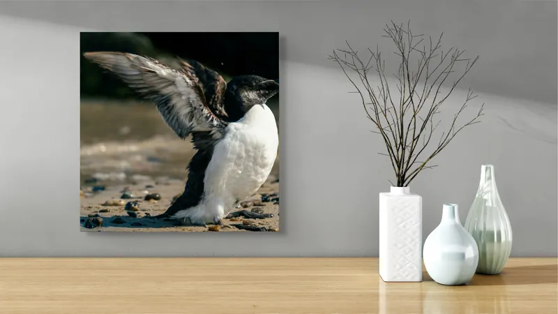 Tablou Canvas, "Pinguin pe țărmul stâncos al mării", Pinguin, Nisip, Aripi, Ocean, Pietre, Lumina, Natura, Zbor, Miscare, 50 x 50 cm – poza 3