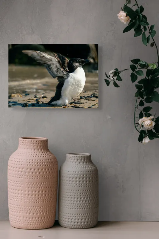 Tablou Canvas, "Pinguin pe țărmul stâncos al mării", Pinguin, Nisip, Aripi, Ocean, Pietre, Lumina, Natura, Zbor, Miscare, 54 x 39 cm – poza 8