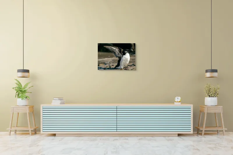Tablou Canvas, "Pinguin pe țărmul stâncos al mării", Pinguin, Nisip, Aripi, Ocean, Pietre, Lumina, Natura, Zbor, Miscare, 70 x 50 cm – poza 7