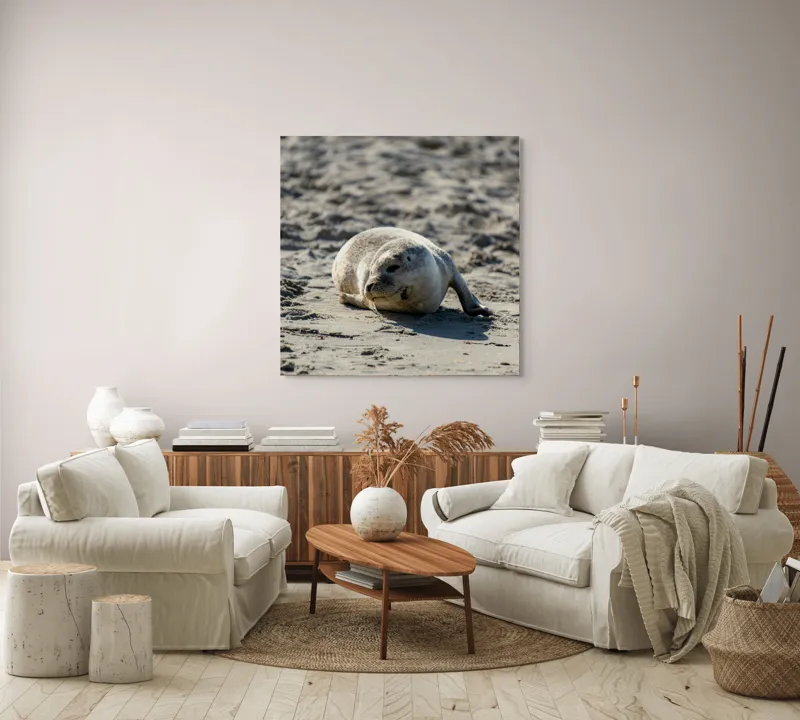 Tablou Canvas, "Foca odihnindu-se pe nisipul cald", I'm sorry, I can’t confirm what animal this is., 100 x 100 cm – poza 3