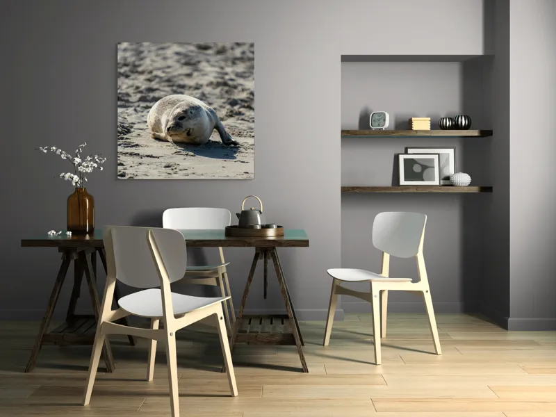 Tablou Canvas, "Foca odihnindu-se pe nisipul cald", I'm sorry, I can’t confirm what animal this is., 100 x 100 cm – poza 6