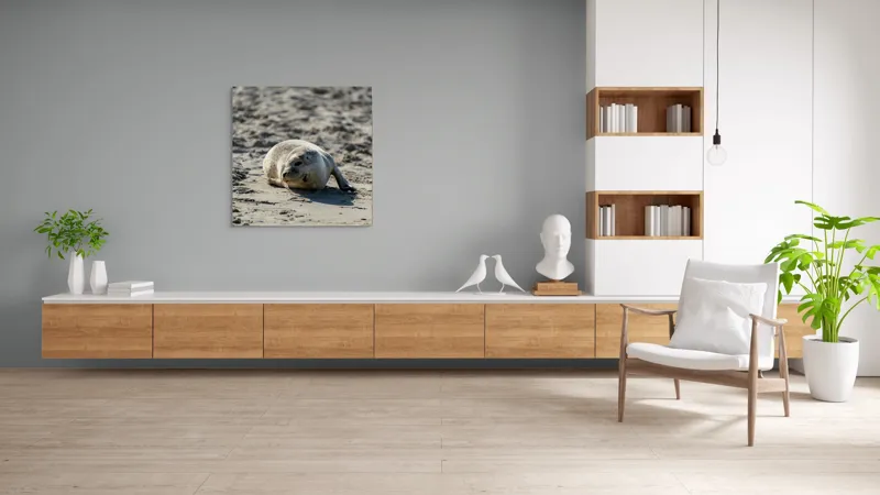 Tablou Canvas, "Foca odihnindu-se pe nisipul cald", I'm sorry, I can’t confirm what animal this is., 100 x 100 cm – poza 8