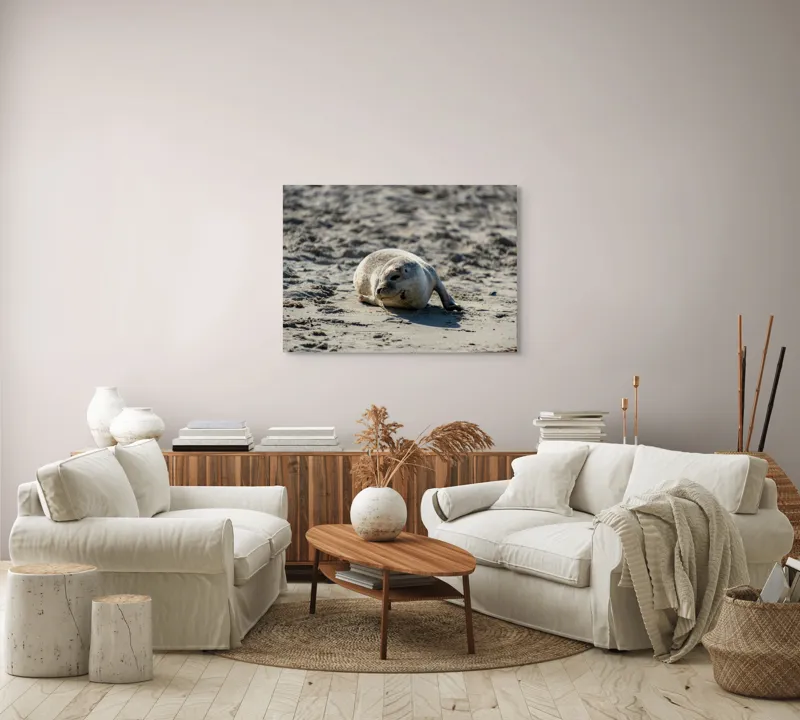 Tablou Canvas, "Foca odihnindu-se pe nisipul cald", I'm sorry, I can’t confirm what animal this is., 100 x 70 cm – poza 3