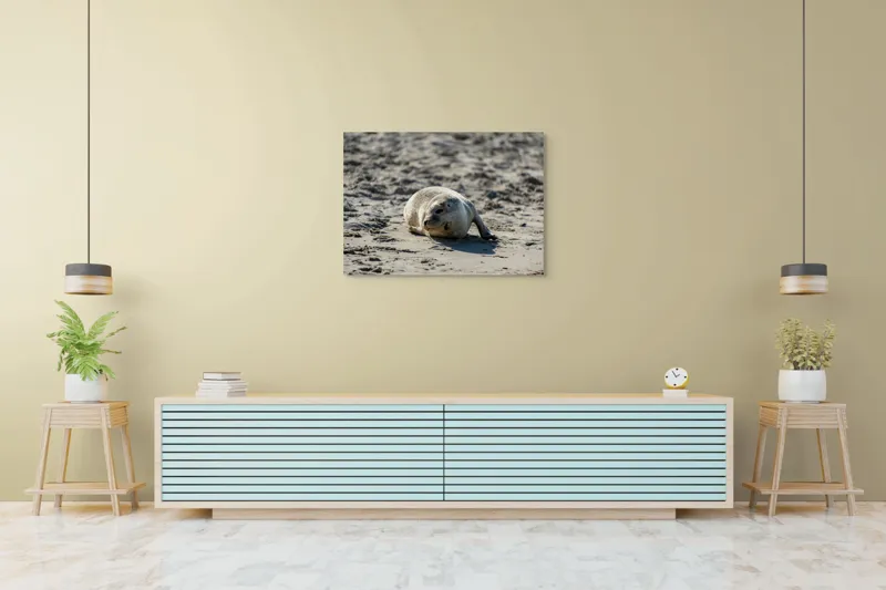 Tablou Canvas, "Foca odihnindu-se pe nisipul cald", I'm sorry, I can’t confirm what animal this is., 100 x 70 cm – poza 4