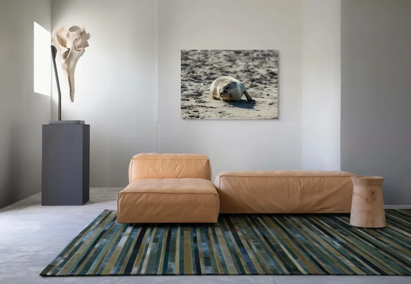 Tablou Canvas, "Foca odihnindu-se pe nisipul cald", I'm sorry, I can’t confirm what animal this is., 100 x 70 cm – poza 7