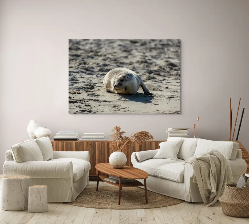 Tablou Canvas, "Foca odihnindu-se pe nisipul cald", I'm sorry, I can’t confirm what animal this is., 150 x 100 cm – poza 3