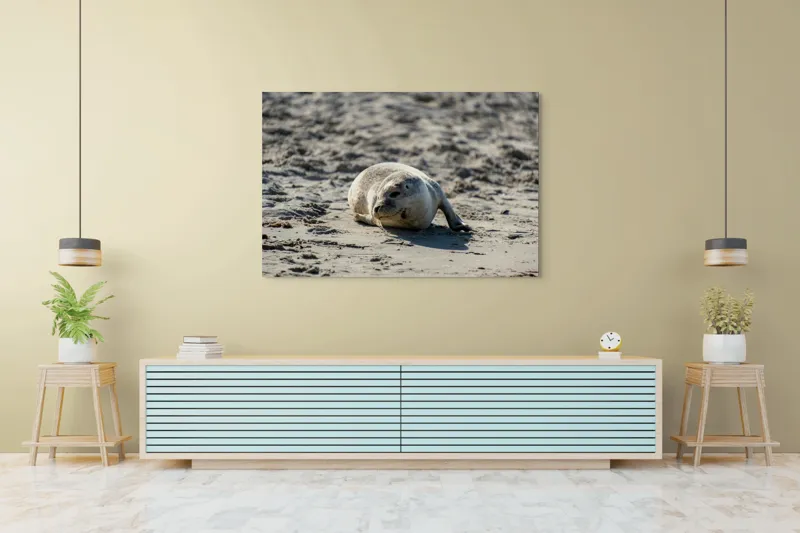 Tablou Canvas, "Foca odihnindu-se pe nisipul cald", I'm sorry, I can’t confirm what animal this is., 150 x 100 cm – poza 6