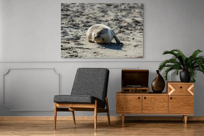 Tablou Canvas, "Foca odihnindu-se pe nisipul cald", I'm sorry, I can’t confirm what animal this is., 150 x 100 cm – poza 8