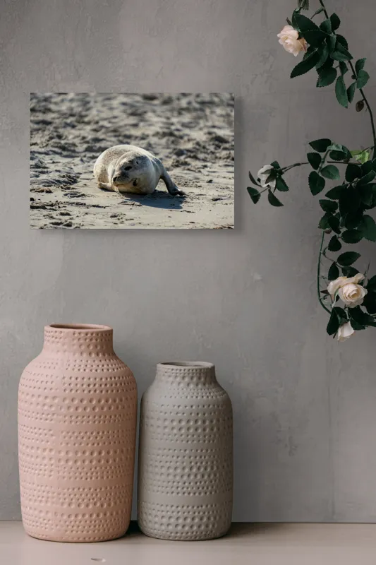 Tablou Canvas, "Foca odihnindu-se pe nisipul cald", 39 x 26 cm – poza 4
