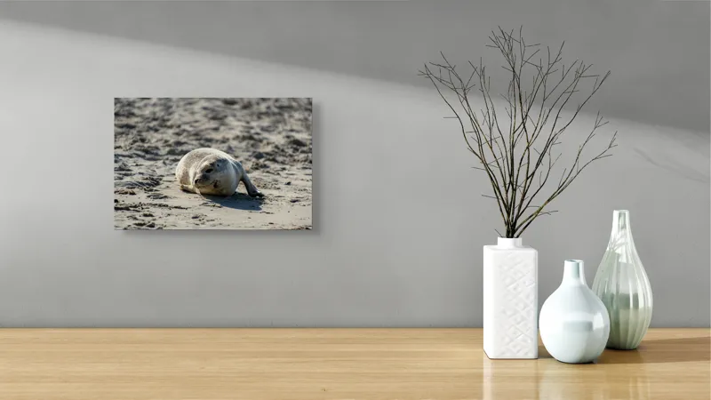 Tablou Canvas, "Foca odihnindu-se pe nisipul cald", 39 x 26 cm – poza 8