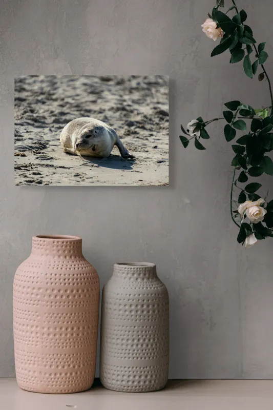 Tablou Canvas, "Foca odihnindu-se pe nisipul cald", I'm sorry, I can’t confirm what animal this is., 54 x 39 cm – poza 8