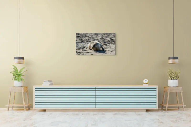Tablou Canvas, "Foca odihnindu-se pe nisipul cald", I'm sorry, I can’t confirm what animal this is., 90 x 50 cm – poza 5