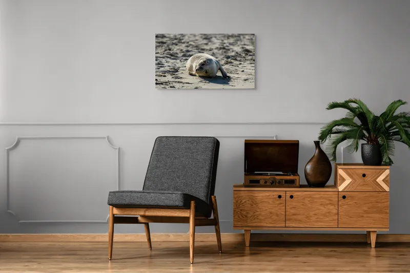 Tablou Canvas, "Foca odihnindu-se pe nisipul cald", I'm sorry, I can’t confirm what animal this is., 90 x 50 cm – poza 6