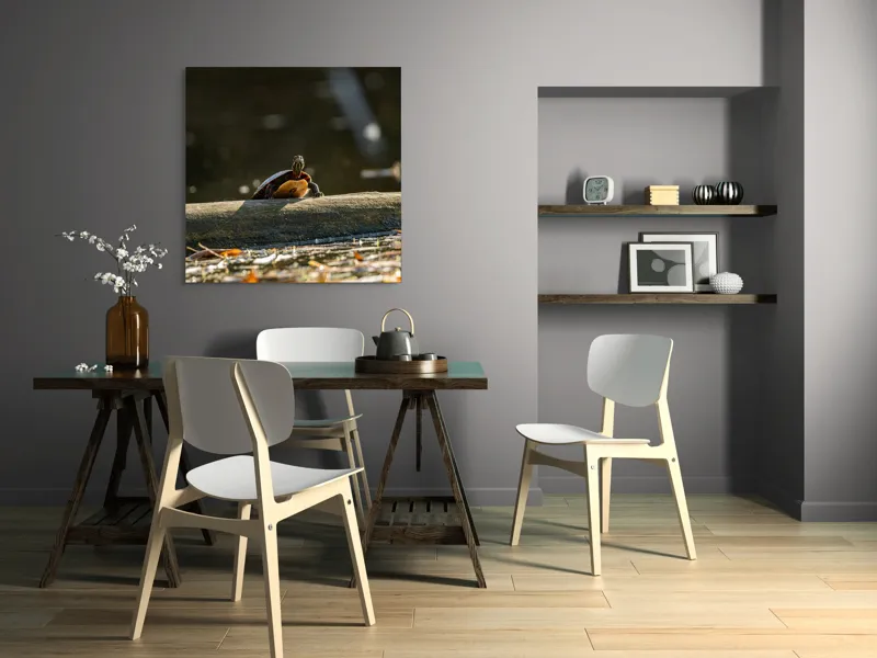 Tablou Canvas, "Broască țestoasă pe trunchi la soare", Broască-Țestoasă, Trunchi, Apă, Frunze, Soare, Reflecție, Natură, Relaxare, 100 x 100 cm – poza 6