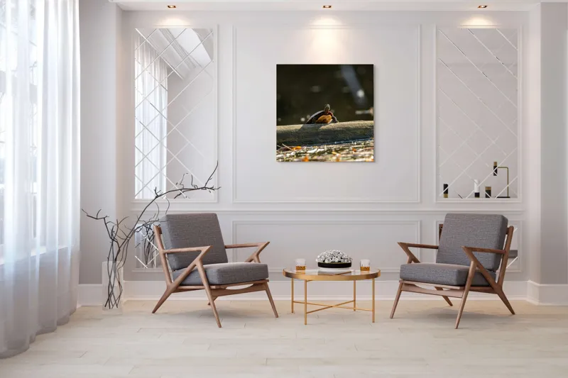 Tablou Canvas, "Broască țestoasă pe trunchi la soare", Broască-Țestoasă, Trunchi, Apă, Frunze, Soare, Reflecție, Natură, Relaxare, 100 x 100 cm – poza 7