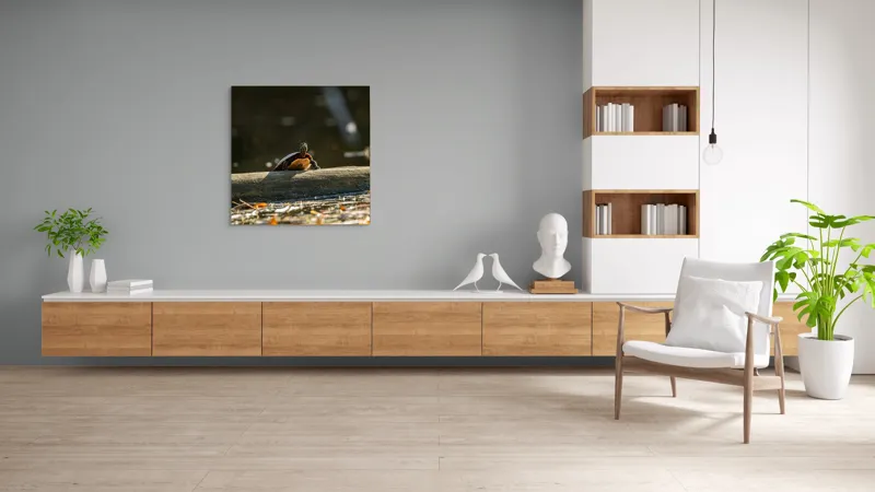 Tablou Canvas, "Broască țestoasă pe trunchi la soare", Broască-Țestoasă, Trunchi, Apă, Frunze, Soare, Reflecție, Natură, Relaxare, 100 x 100 cm – poza 8