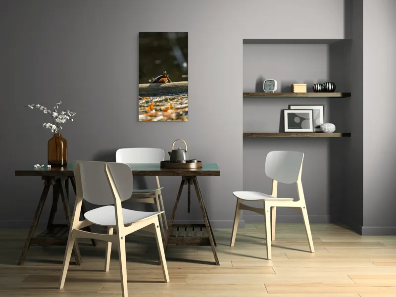 Tablou Canvas, "Broască țestoasă pe trunchi la soare", Broască-Țestoasă, Trunchi, Apă, Frunze, Soare, Reflecție, Natură, Relaxare, 50 x 90 cm – poza 4