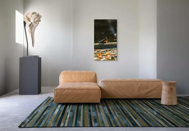 Tablou Canvas, "Broască țestoasă pe trunchi la soare", Broască-Țestoasă, Trunchi, Apă, Frunze, Soare, Reflecție, Natură, Relaxare, 50 x 90 cm – poza 5