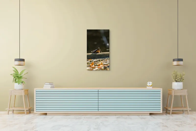 Tablou Canvas, "Broască țestoasă pe trunchi la soare", Broască-Țestoasă, Trunchi, Apă, Frunze, Soare, Reflecție, Natură, Relaxare, 50 x 90 cm – poza 6