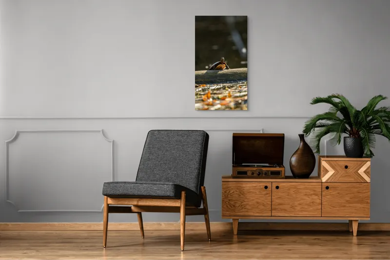 Tablou Canvas, "Broască țestoasă pe trunchi la soare", Broască-Țestoasă, Trunchi, Apă, Frunze, Soare, Reflecție, Natură, Relaxare, 50 x 90 cm – poza 8