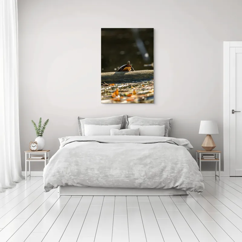 Tablou Canvas, "Broască țestoasă pe trunchi la soare", Broască-Țestoasă, Trunchi, Apă, Frunze, Soare, Reflecție, Natură, Relaxare, 70 x 100 cm – poza 3