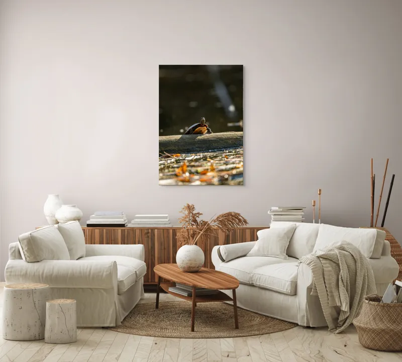 Tablou Canvas, "Broască țestoasă pe trunchi la soare", Broască-Țestoasă, Trunchi, Apă, Frunze, Soare, Reflecție, Natură, Relaxare, 70 x 100 cm – poza 4