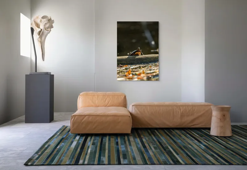 Tablou Canvas, "Broască țestoasă pe trunchi la soare", Broască-Țestoasă, Trunchi, Apă, Frunze, Soare, Reflecție, Natură, Relaxare, 70 x 100 cm – poza 7