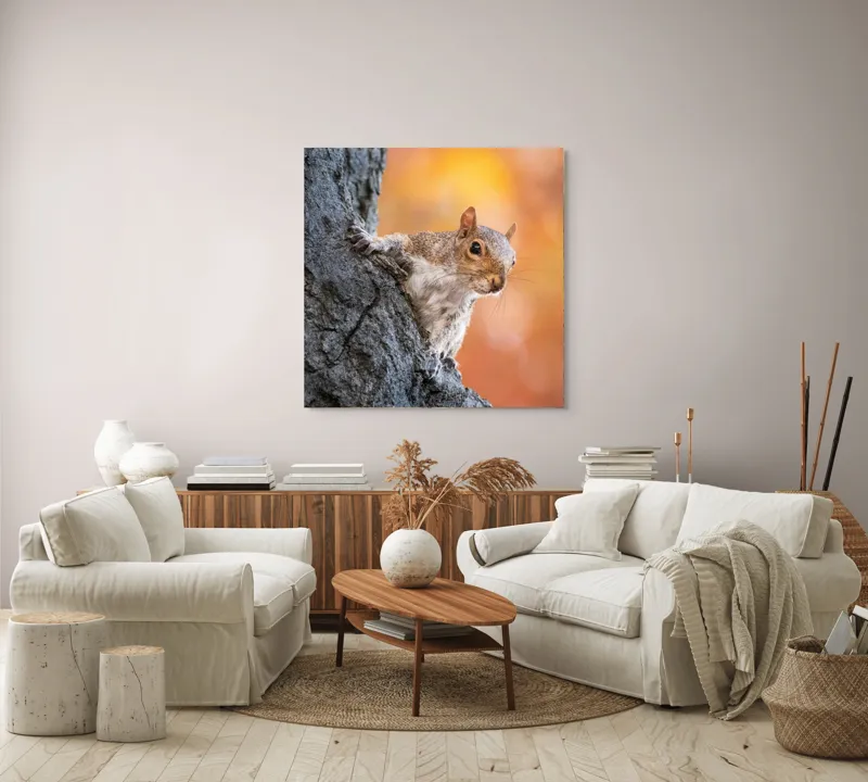 Tablou Canvas, "Veveriță în lumina toamnei aurii", Veveriță, Curioasă, Copac, Toamnă, Blană, Textură, Frunze, Fundal, Natură., 100 x 100 cm – poza 3