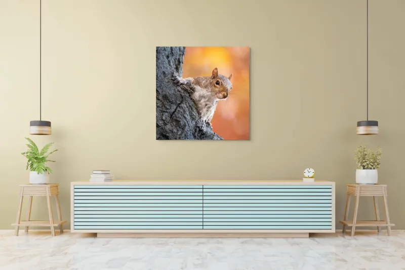 Tablou Canvas, "Veveriță în lumina toamnei aurii", Veveriță, Curioasă, Copac, Toamnă, Blană, Textură, Frunze, Fundal, Natură., 100 x 100 cm – poza 5