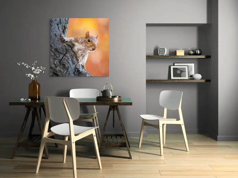 Tablou Canvas, "Veveriță în lumina toamnei aurii", Veveriță, Curioasă, Copac, Toamnă, Blană, Textură, Frunze, Fundal, Natură., 100 x 100 cm – poza 6