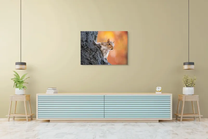 Tablou Canvas, "Veveriță în lumina toamnei aurii", Veveriță, Curioasă, Copac, Toamnă, Blană, Textură, Frunze, Fundal, Natură., 100 x 70 cm – poza 4