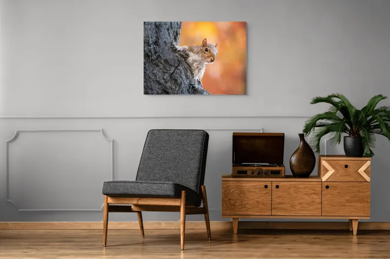 Tablou Canvas, "Veveriță în lumina toamnei aurii", Veveriță, Curioasă, Copac, Toamnă, Blană, Textură, Frunze, Fundal, Natură., 100 x 70 cm – poza 8