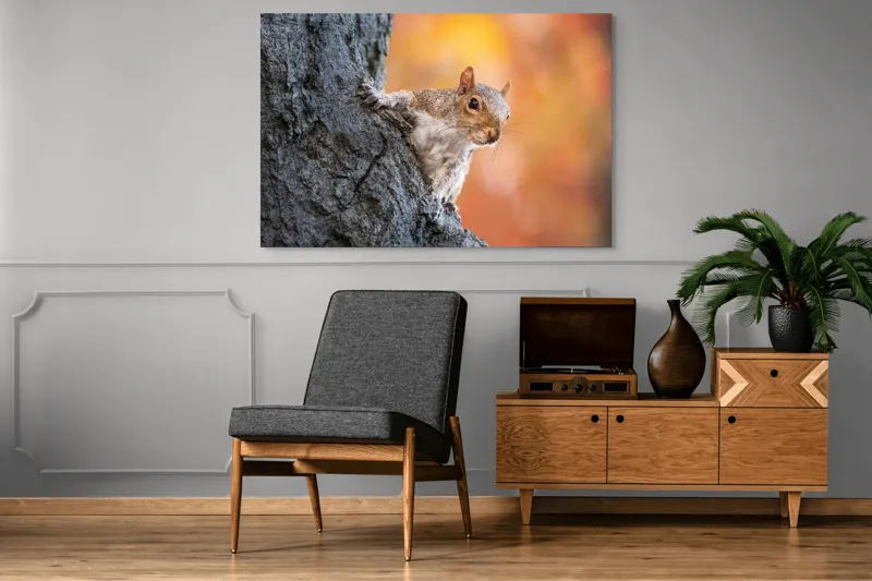 Tablou Canvas, "Veveriță în lumina toamnei aurii", Veveriță, Curioasă, Copac, Toamnă, Blană, Textură, Frunze, Fundal, Natură., 150 x 100 cm – poza 8