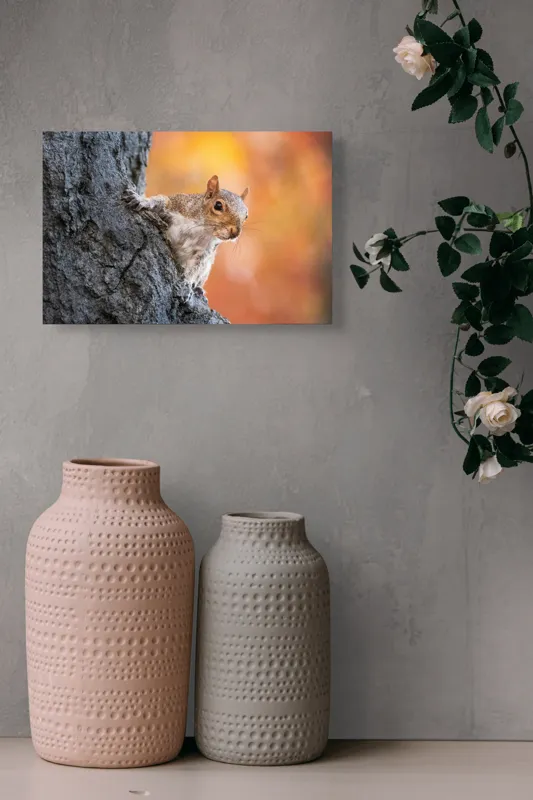 Tablou Canvas, "Veveriță în lumina toamnei aurii", Veveriță, Curioasă, Copac, Toamnă, Blană, Textură, Frunze, Fundal, Natură., 39 x 26 cm – poza 4