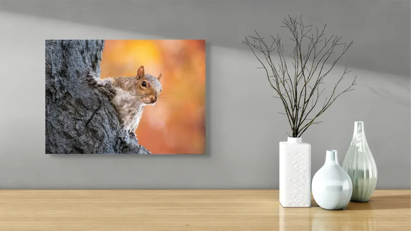 Tablou Canvas, "Veveriță în lumina toamnei aurii", Veveriță, Curioasă, Copac, Toamnă, Blană, Textură, Frunze, Fundal, Natură., 54 x 39 cm – poza 3