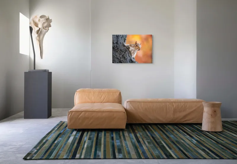 Tablou Canvas, "Veveriță în lumina toamnei aurii", Veveriță, Curioasă, Copac, Toamnă, Blană, Textură, Frunze, Fundal, Natură., 70 x 50 cm – poza 8