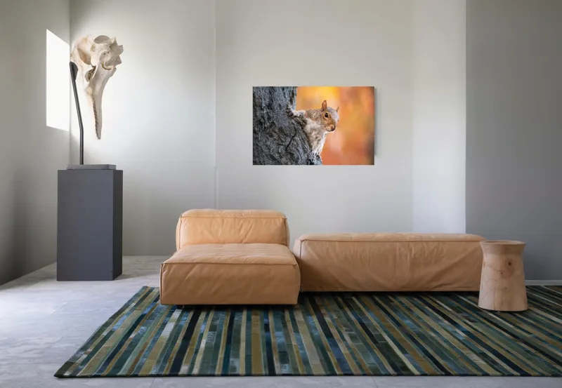 Tablou Canvas, "Veveriță în lumina toamnei aurii", Veveriță, Curioasă, Copac, Toamnă, Blană, Textură, Frunze, Fundal, Natură., 90 x 50 cm – poza 8
