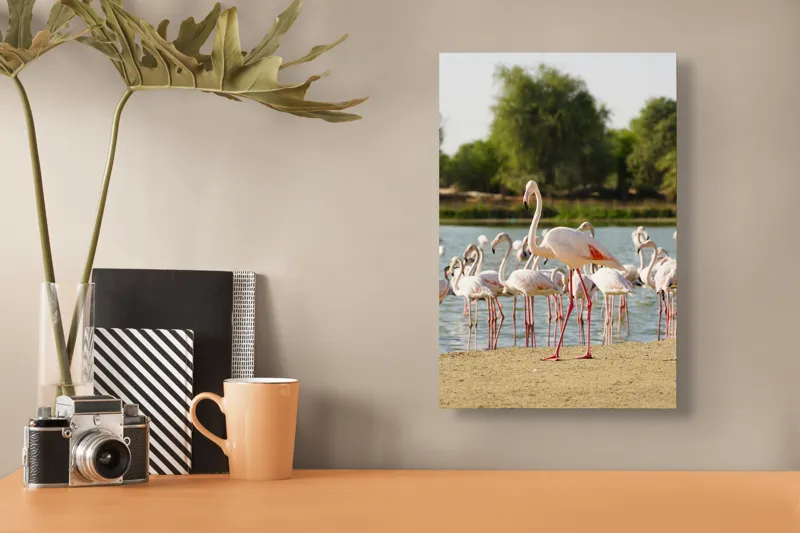 Tablou Canvas, "Grația flamingo la apus de soare", Flamingo, Lac, Nisip, Verdeturi, Cer, Pene, Picioare, Grup, Apa, Peisaj, 26 x 39 cm – poza 3