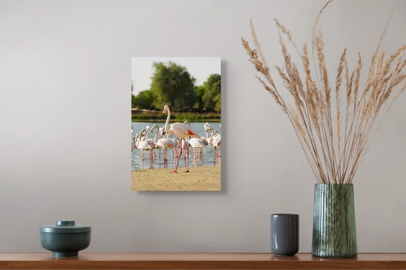 Tablou Canvas, "Grația flamingo la apus de soare", Flamingo, Lac, Nisip, Verdeturi, Cer, Pene, Picioare, Grup, Apa, Peisaj, 26 x 39 cm – poza 5