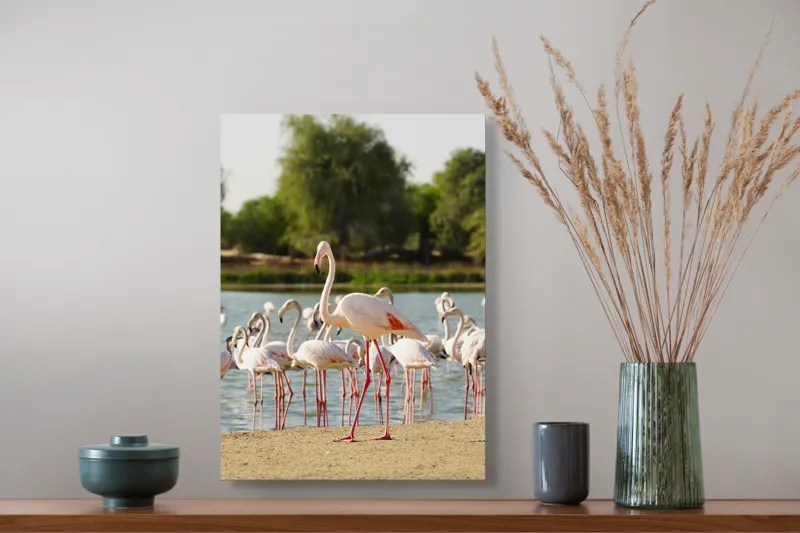 Tablou Canvas, "Grația flamingo la apus de soare", Flamingo, Lac, Nisip, Verdeturi, Cer, Pene, Picioare, Grup, Apa, Peisaj, 39 x 54 cm – poza 3